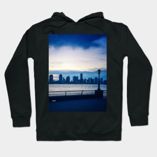 Battery Park, Manhattan, NYC Hoodie